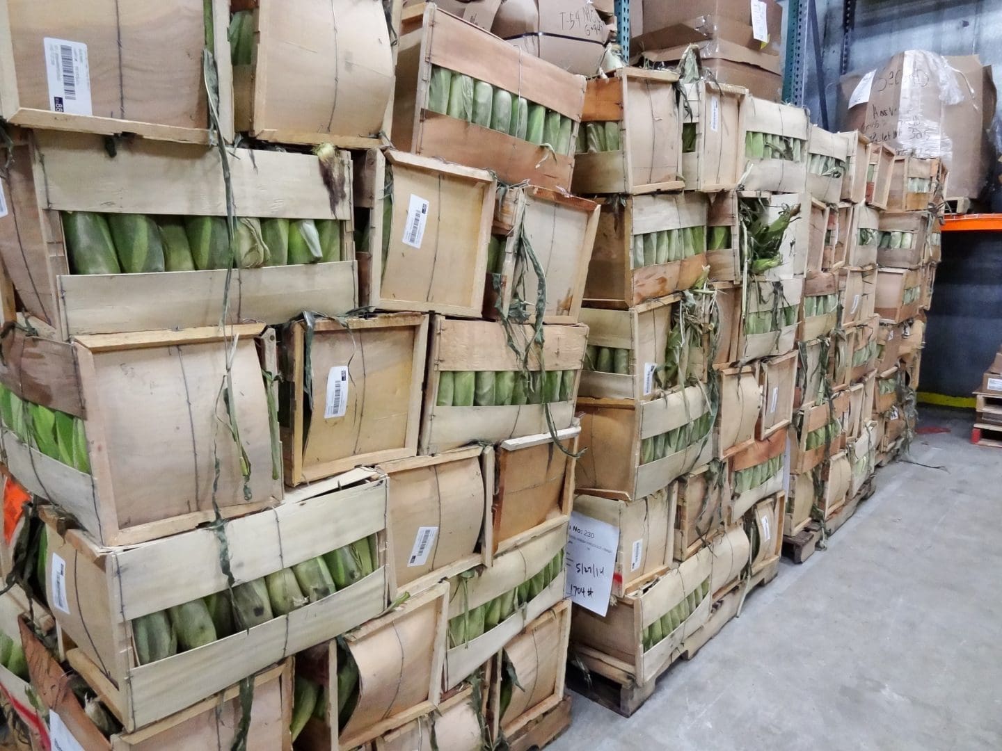 A stack of boxes covered in green leaves forming a large pile
