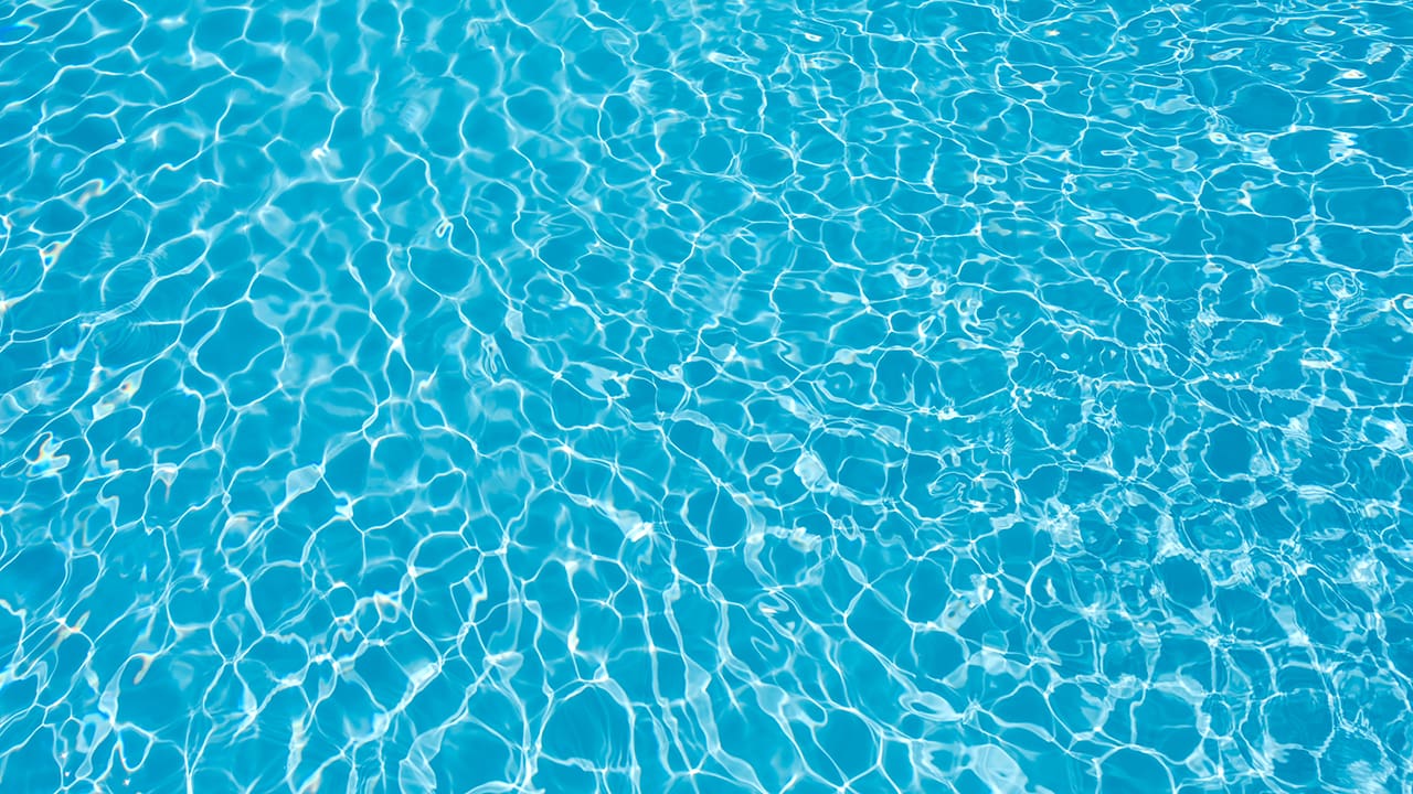 interior All-City Swim and Dive: Food & Fund Drive banner image