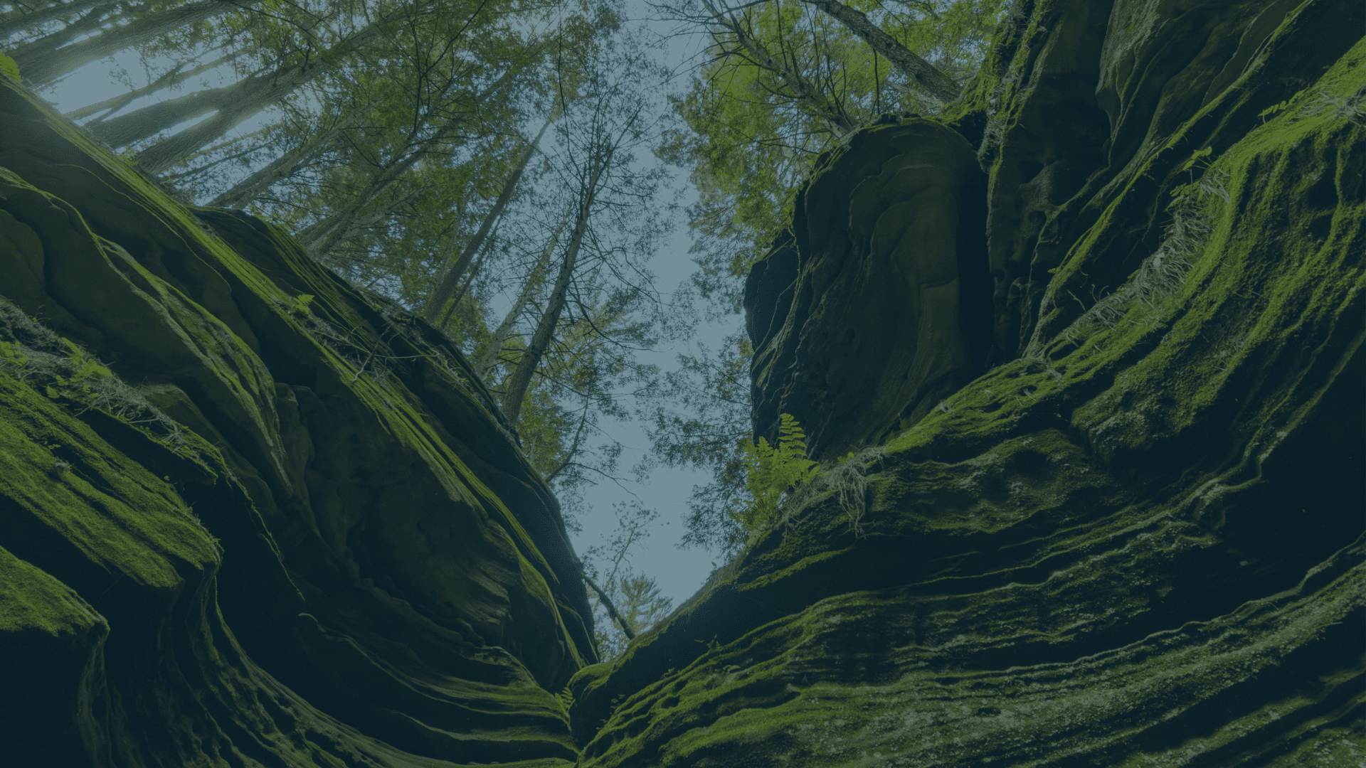 interior Hunger in Our Community banner image