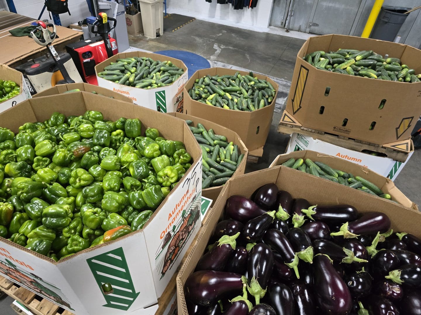 Fresh bell peppers and eggplant from wisconsin food rescue